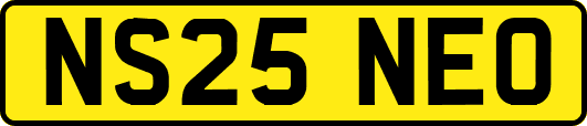 NS25NEO