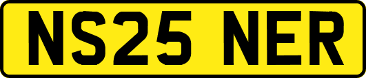 NS25NER