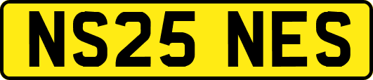 NS25NES
