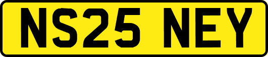 NS25NEY
