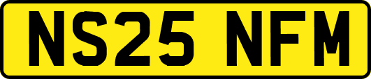 NS25NFM