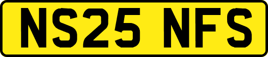 NS25NFS