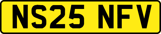 NS25NFV