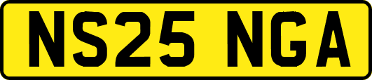 NS25NGA