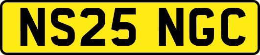 NS25NGC