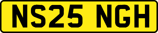 NS25NGH