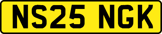 NS25NGK