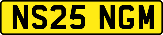 NS25NGM