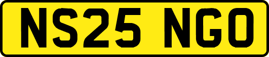 NS25NGO