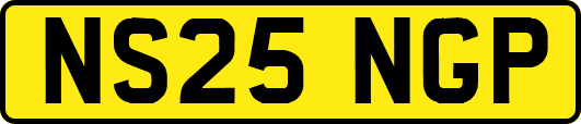 NS25NGP