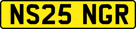 NS25NGR