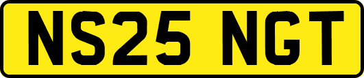 NS25NGT