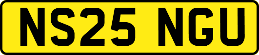 NS25NGU