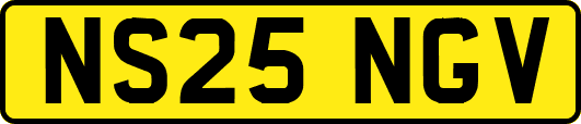 NS25NGV