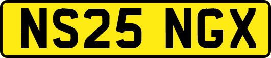 NS25NGX
