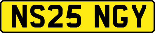 NS25NGY
