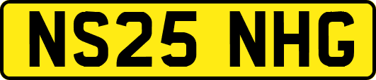 NS25NHG