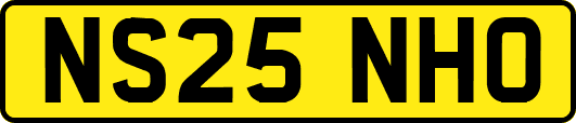 NS25NHO
