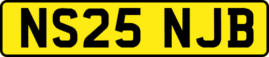 NS25NJB