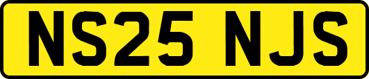 NS25NJS