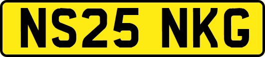 NS25NKG