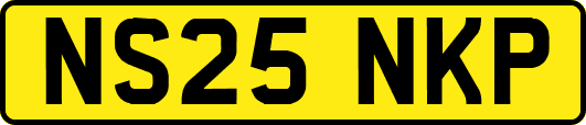 NS25NKP