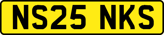 NS25NKS