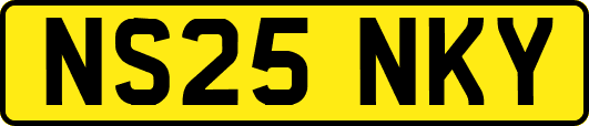 NS25NKY