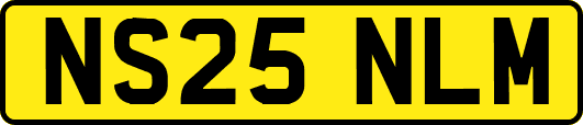 NS25NLM