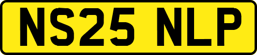 NS25NLP