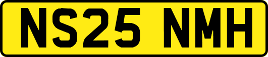 NS25NMH