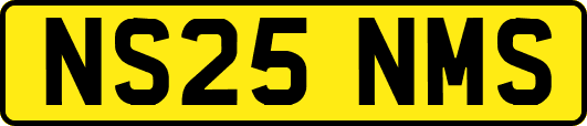 NS25NMS