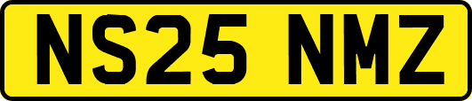 NS25NMZ