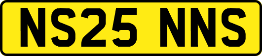 NS25NNS