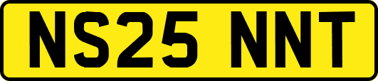NS25NNT