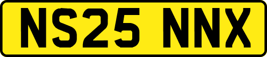 NS25NNX