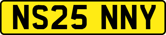 NS25NNY