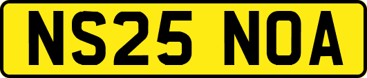 NS25NOA