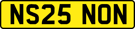 NS25NON