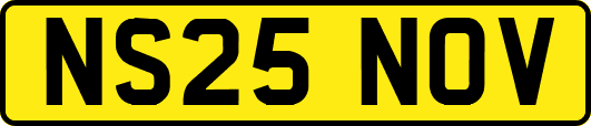 NS25NOV