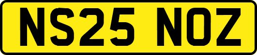 NS25NOZ