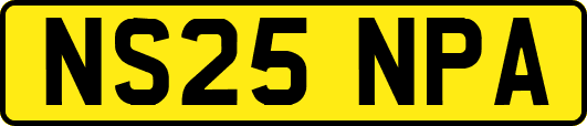 NS25NPA