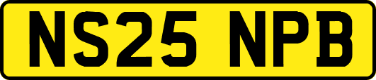 NS25NPB
