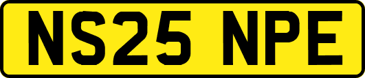 NS25NPE