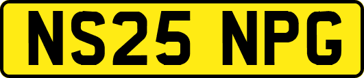 NS25NPG