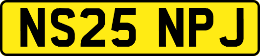 NS25NPJ