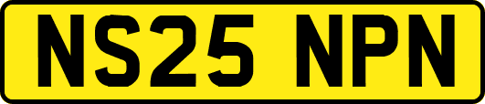 NS25NPN