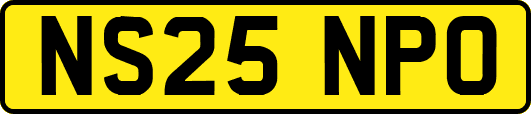 NS25NPO