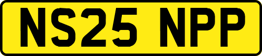 NS25NPP