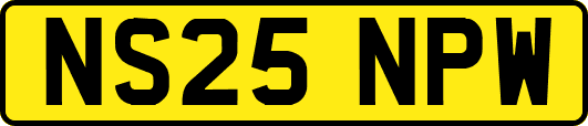NS25NPW